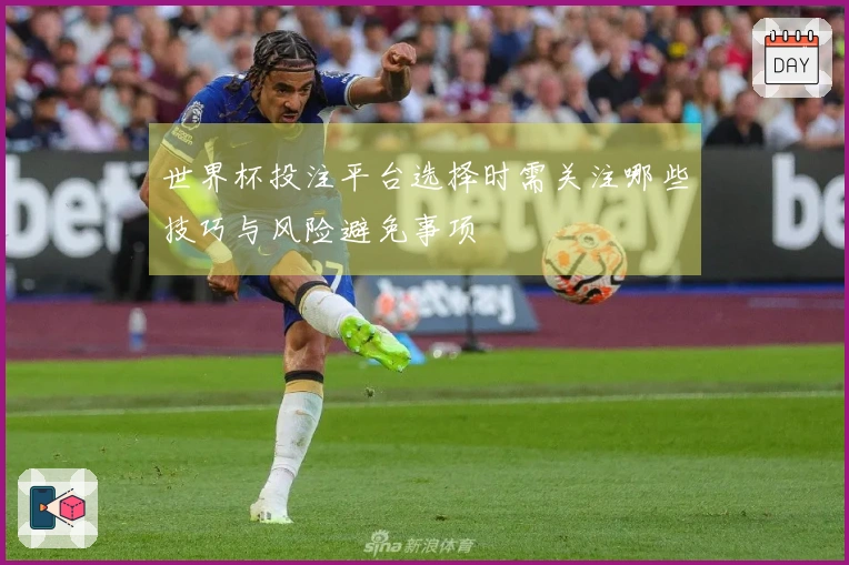 世界杯投注平台选择时需关注哪些技巧与风险避免事项